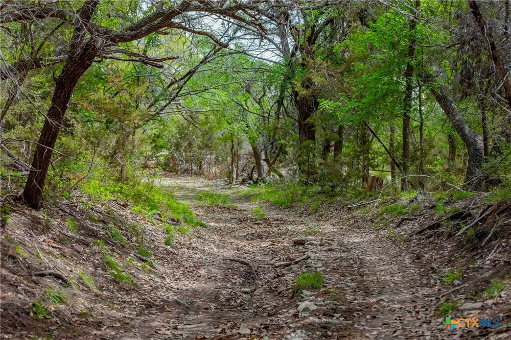 910 Abbey Road Liberty Hill, TX 78642