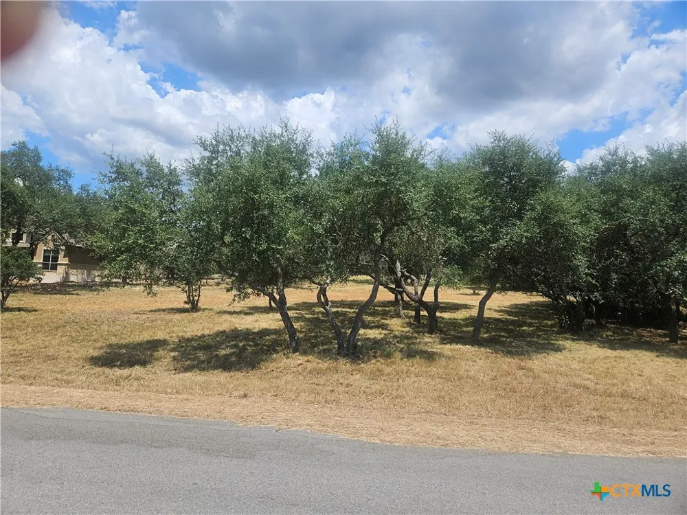 263 Paradise Hills New Braunfels, TX 78132