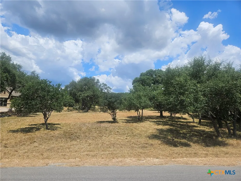 263 Paradise Hills New Braunfels, TX 78132
