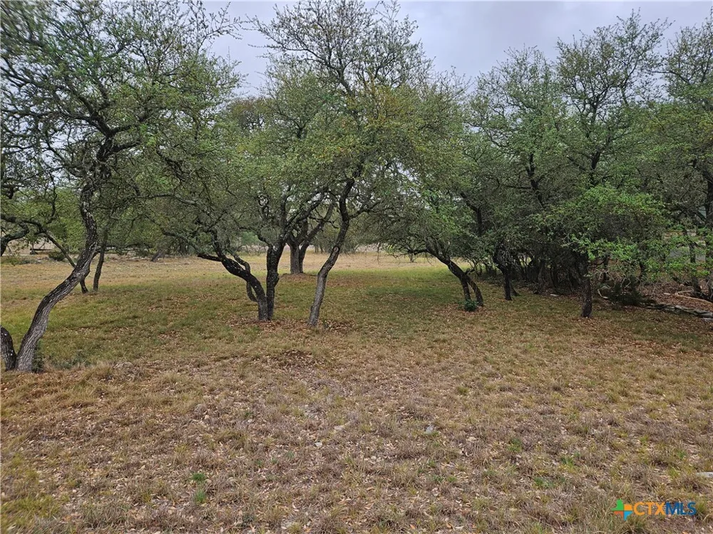 263 Paradise Hills New Braunfels, TX 78132