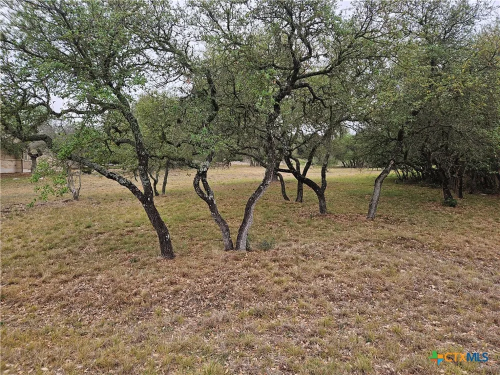 263 Paradise Hills New Braunfels, TX 78132
