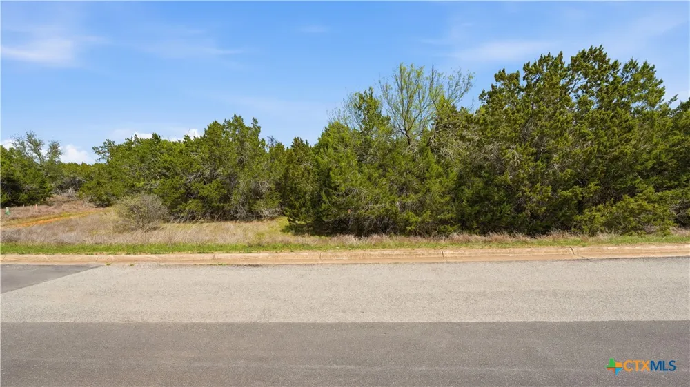 27230 Eichenbaum Road New Braunfels, TX 78132