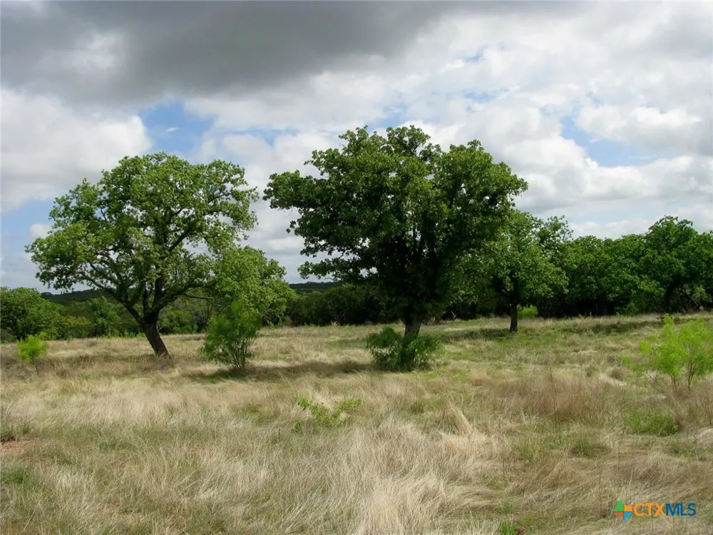 73 PR 42103 Evant, TX 76525