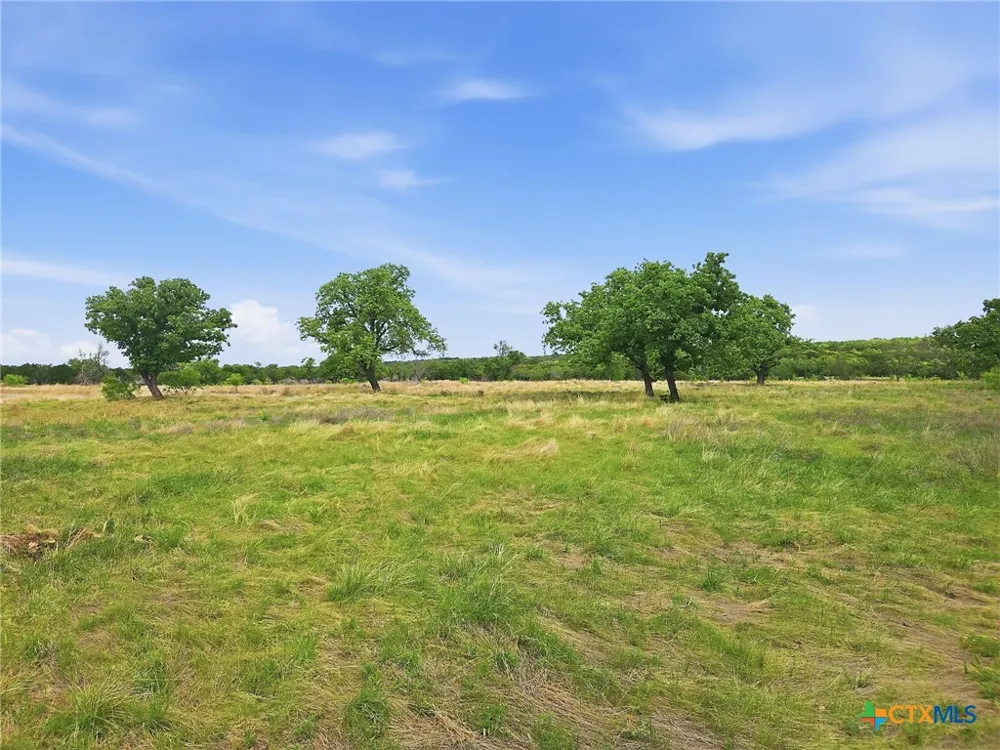 73 PR 42103 Evant, TX 76525