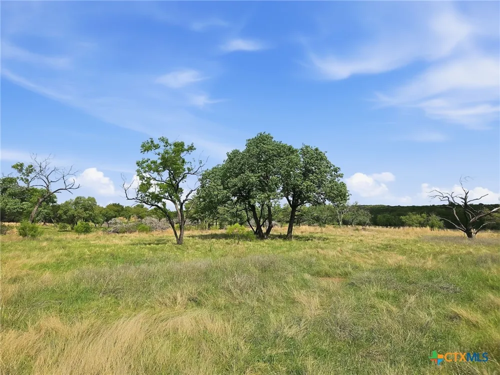 73 PR 42103 Evant, TX 76525