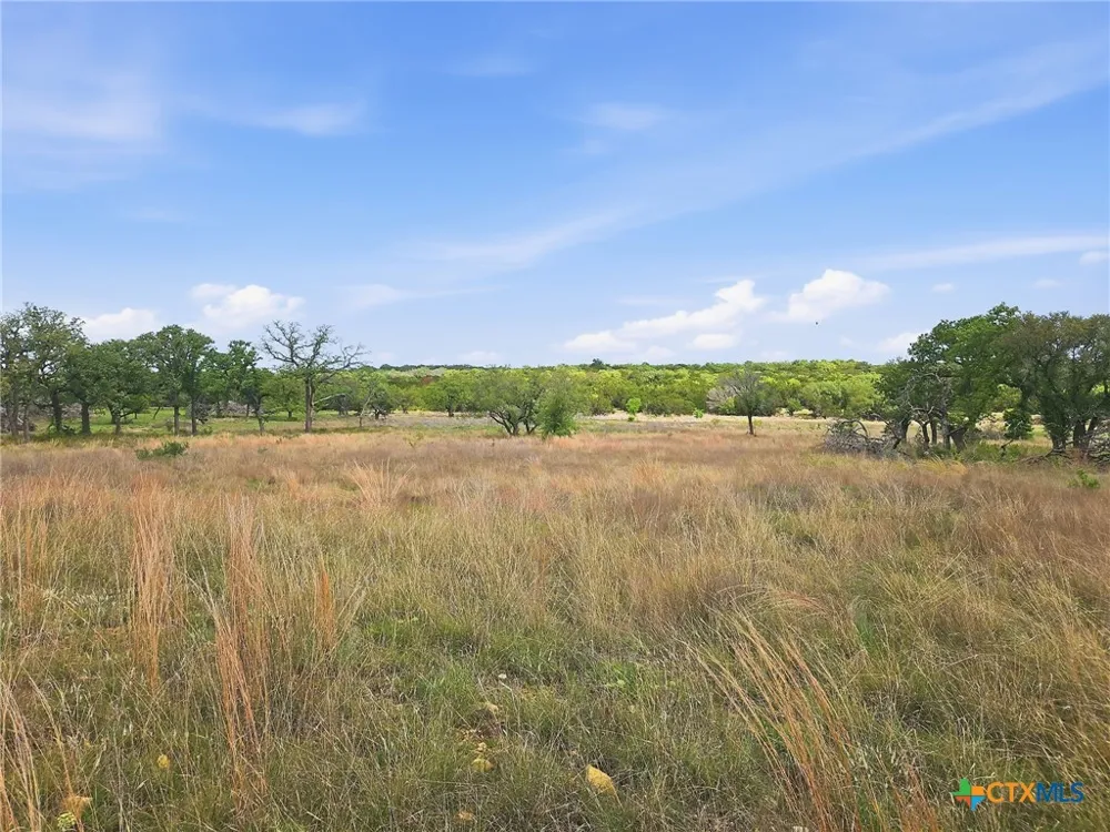 73 PR 42103 Evant, TX 76525