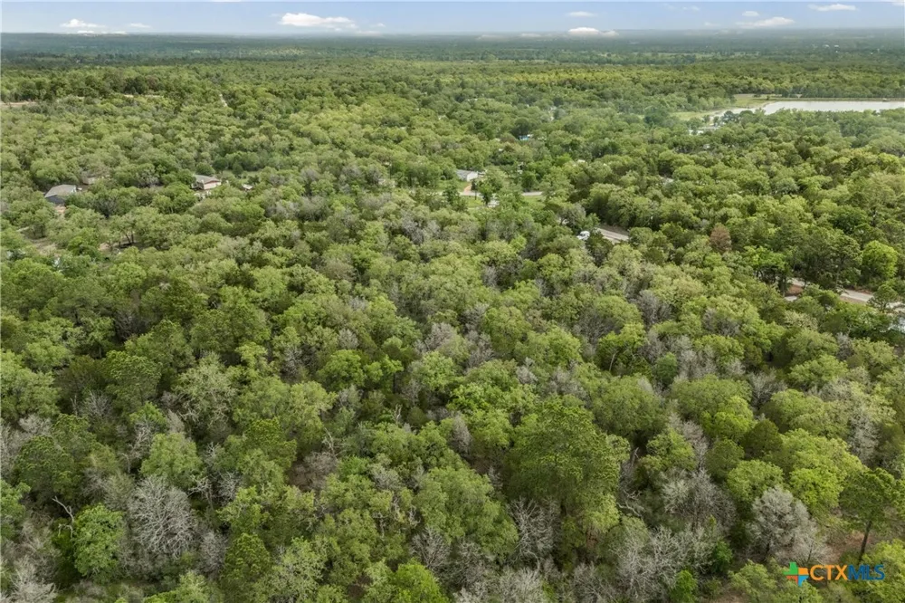 Commanche Drive Smithville, TX 78957