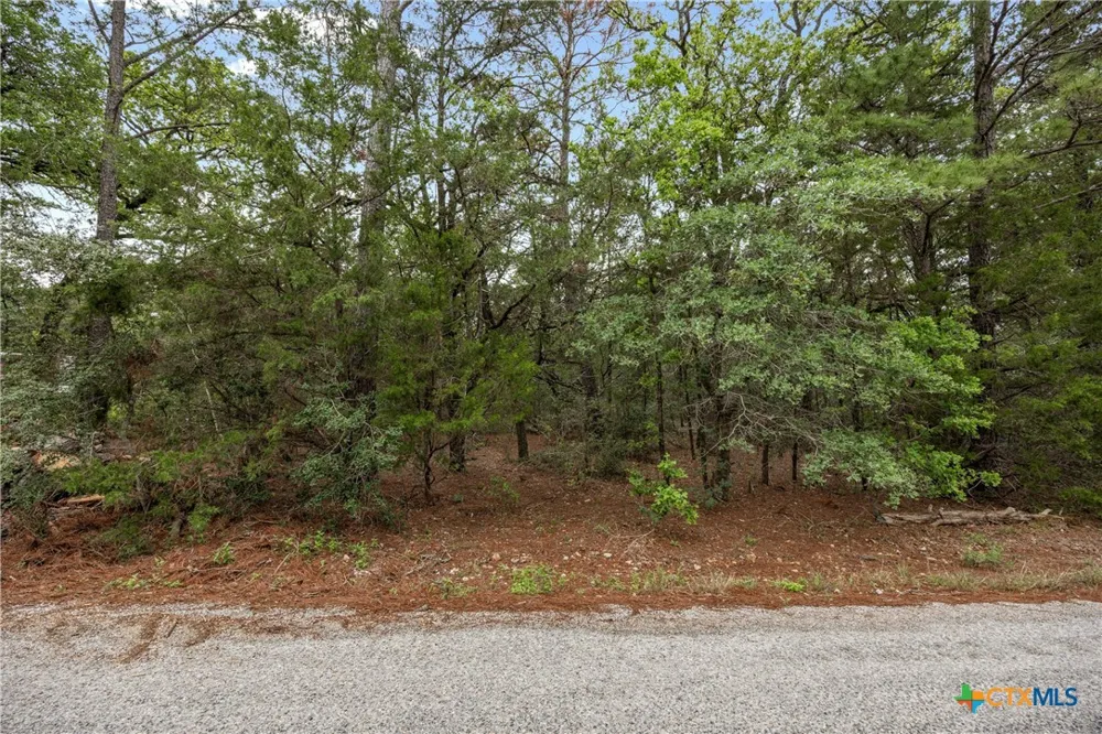 Commanche Drive Smithville, TX 78957