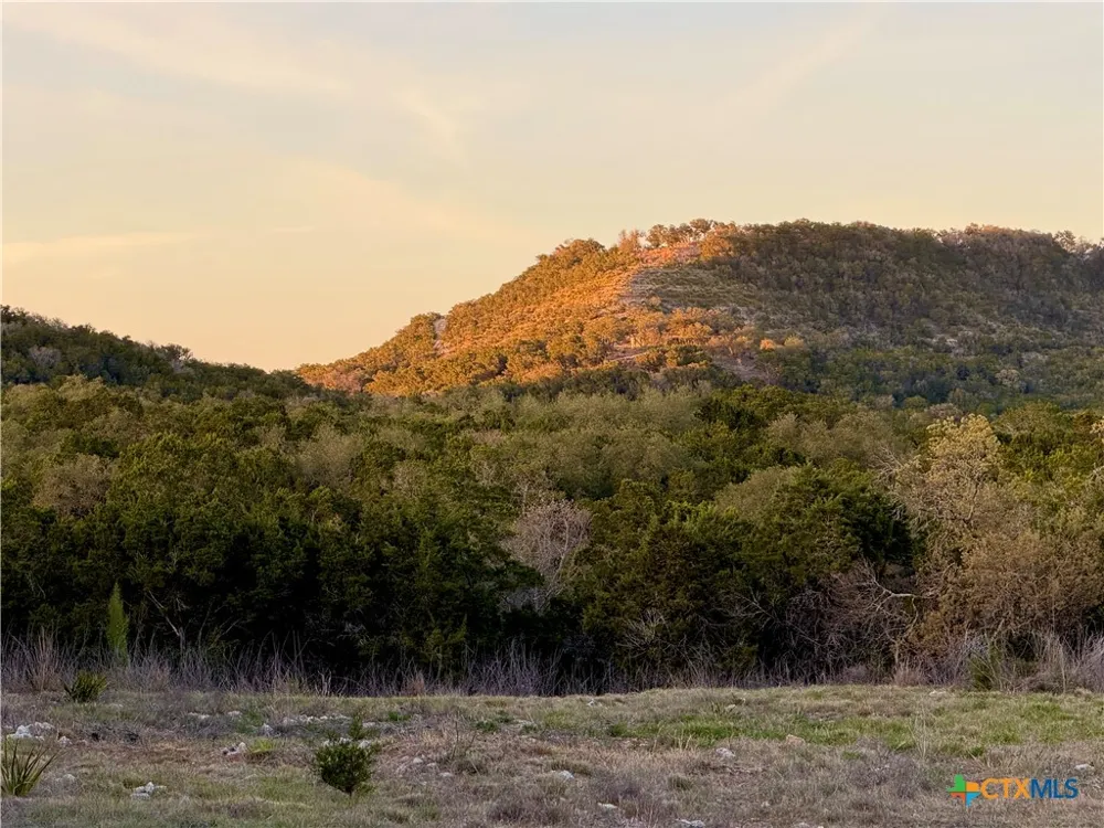 911 Flaman Road Canyon Lake, TX 78133