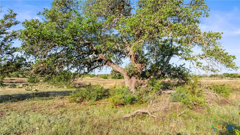 4 Vista Ridge Dr Round Mountain, TX 78663