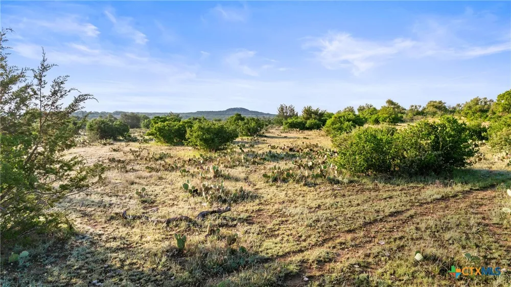 4 Vista Ridge Dr Round Mountain, TX 78663