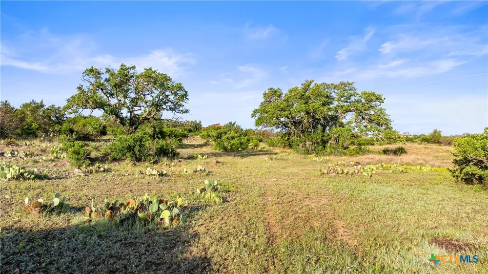 4 Vista Ridge Dr Round Mountain, TX 78663