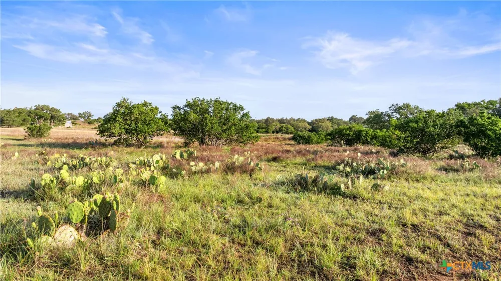4 Vista Ridge Dr Round Mountain, TX 78663