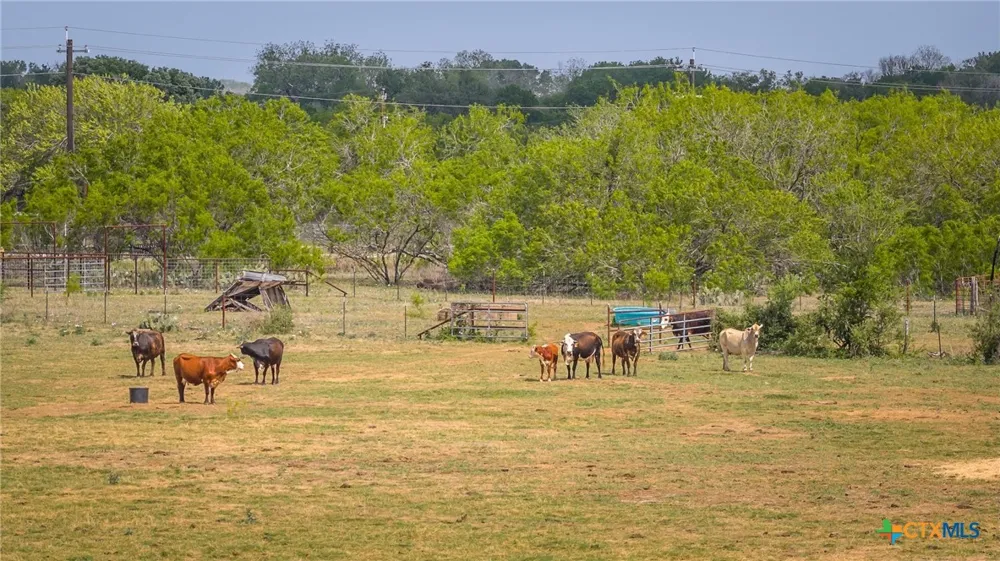 FM 77 Nixon, TX 78140