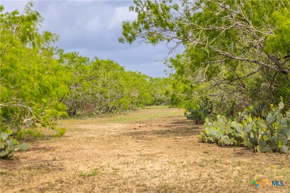 FM 77 Nixon, TX 78140