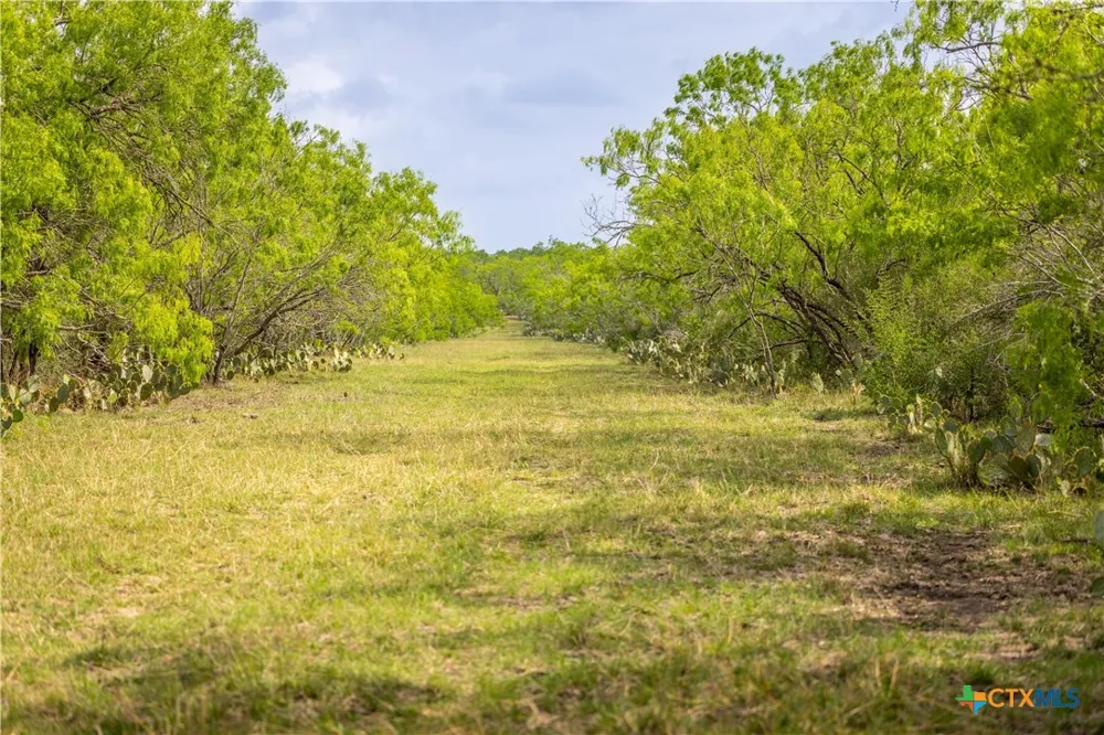 FM 77 Nixon, TX 78140