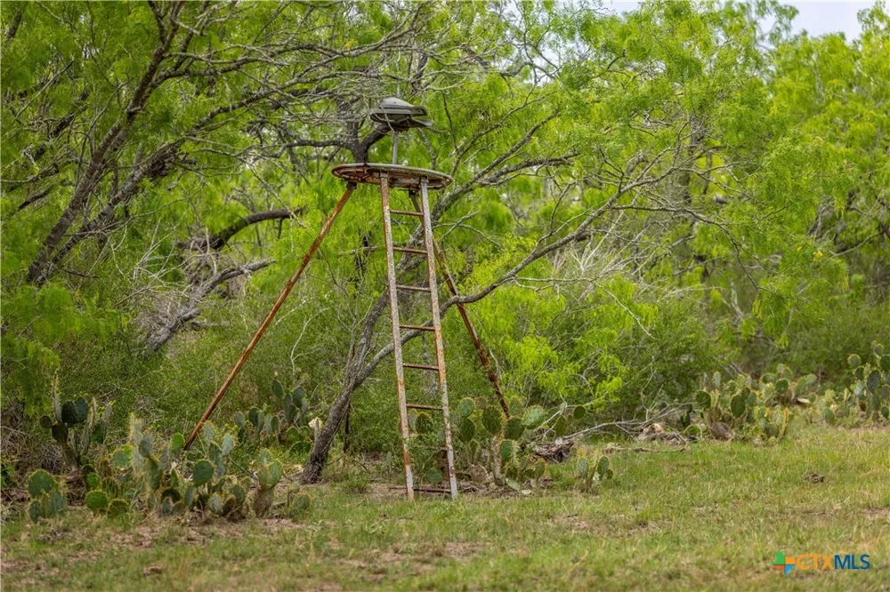 FM 77 Nixon, TX 78140
