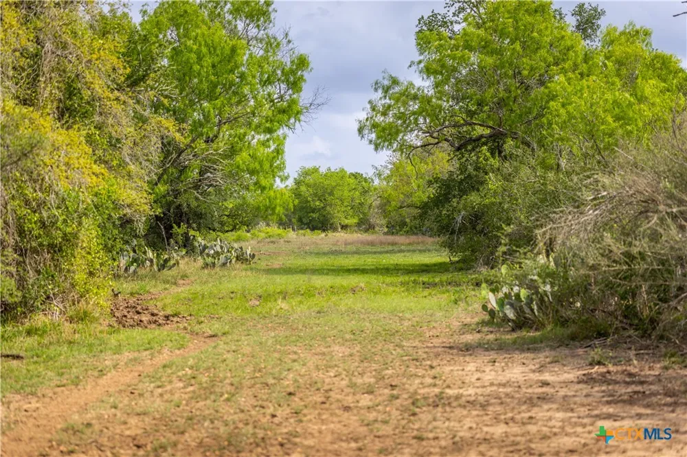 FM 77 Nixon, TX 78140