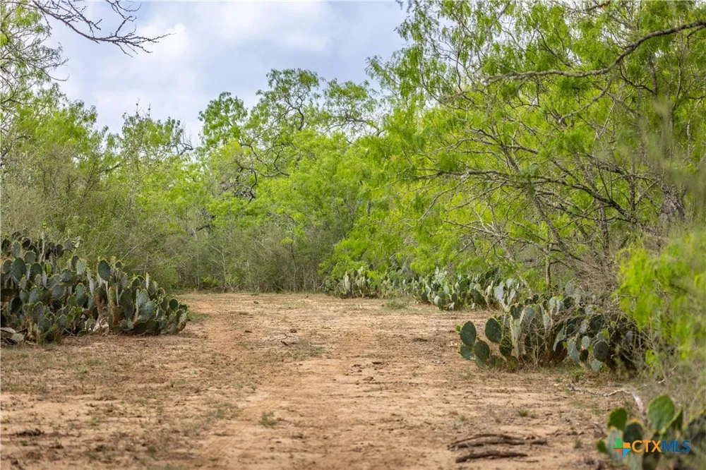 FM 77 Nixon, TX 78140