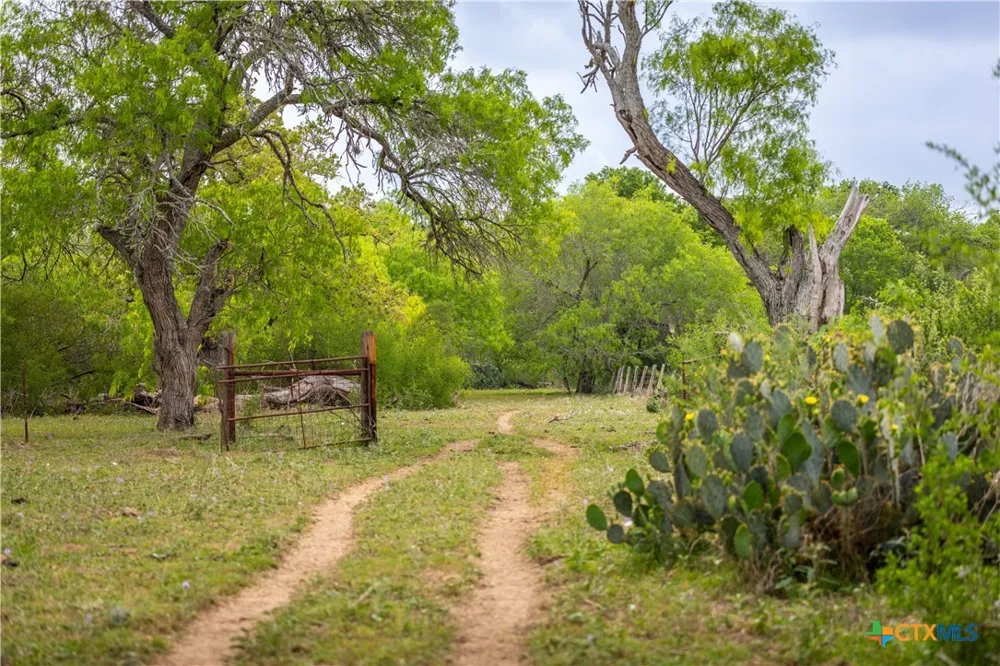 FM 77 Nixon, TX 78140