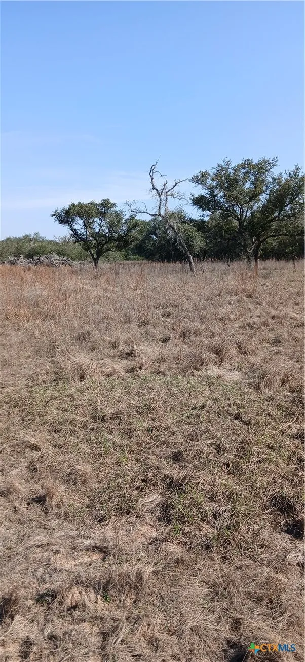 737 Private Road 1065 Hallettsville, TX 77964