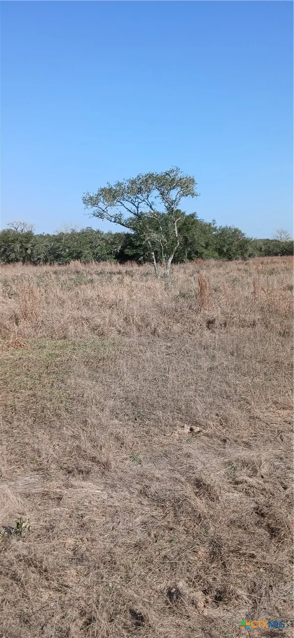 737 Private Road 1065 Hallettsville, TX 77964