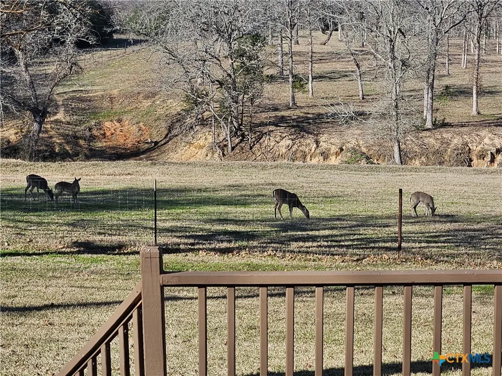 913 CR 237 ROAD Cameron, TX 76520