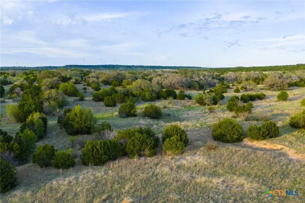 405 Blackjack Oak Drive Goldthwaite, TX 76844
