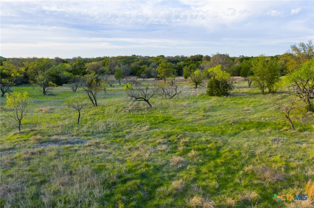 405 Blackjack Oak Drive Goldthwaite, TX 76844
