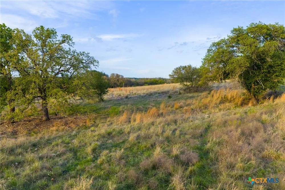 405 Blackjack Oak Drive Goldthwaite, TX 76844