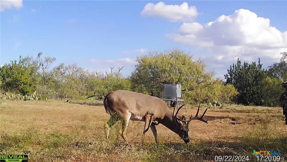 405 Blackjack Oak Drive Goldthwaite, TX 76844