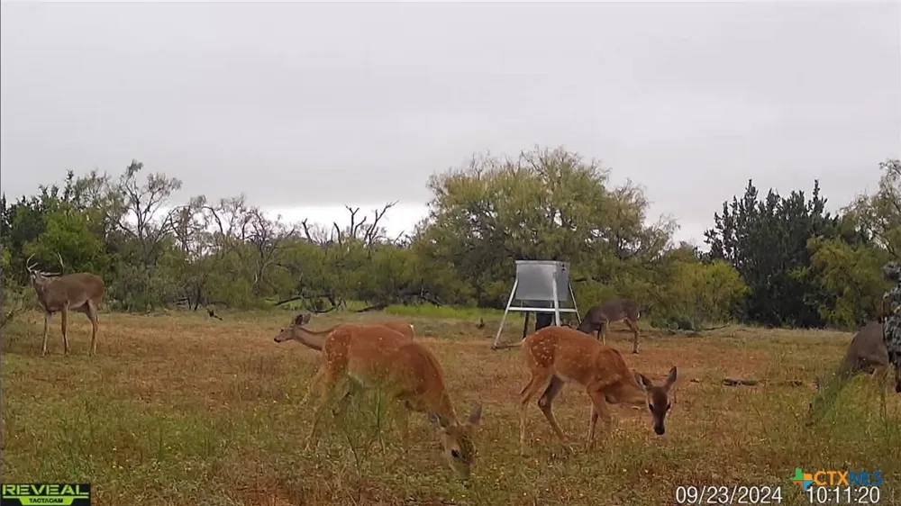 405 Blackjack Oak Drive Goldthwaite, TX 76844