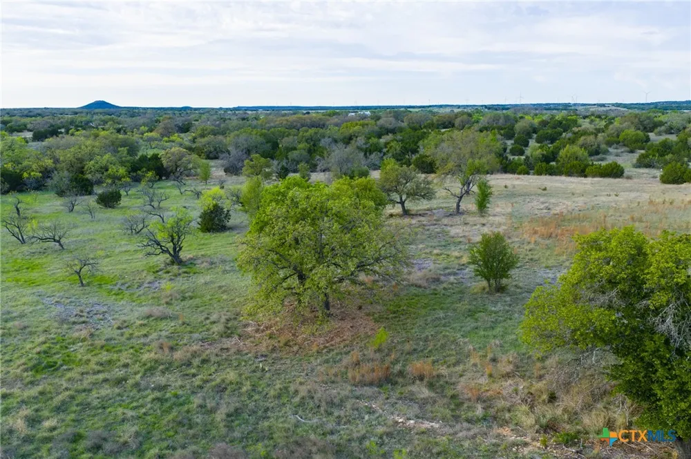 405 Blackjack Oak Drive Goldthwaite, TX 76844
