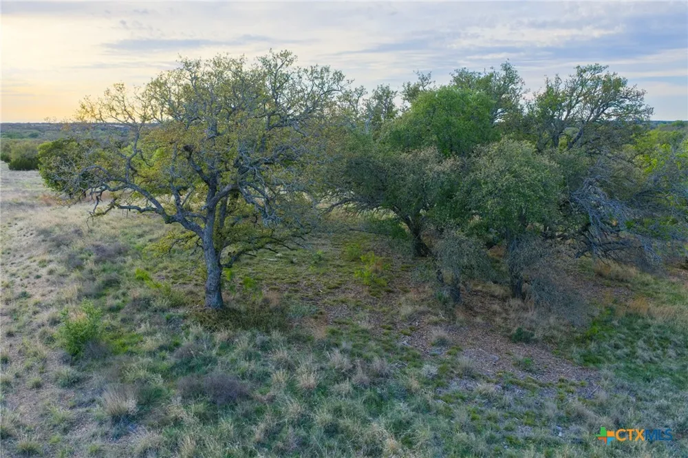 405 Blackjack Oak Drive Goldthwaite, TX 76844