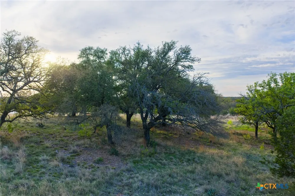 405 Blackjack Oak Drive Goldthwaite, TX 76844