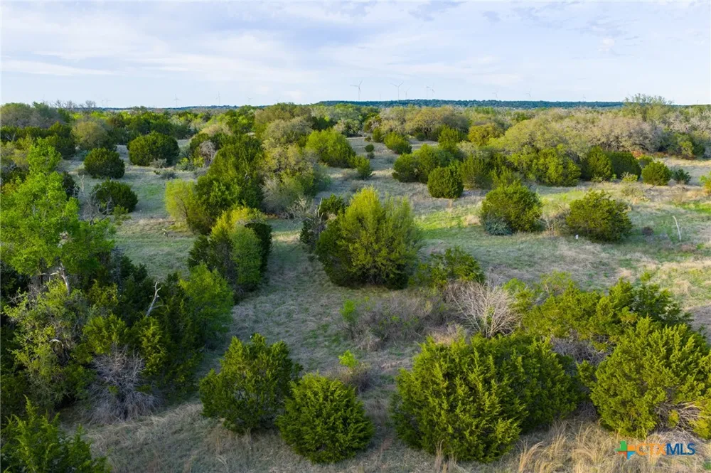 405 Blackjack Oak Drive Goldthwaite, TX 76844