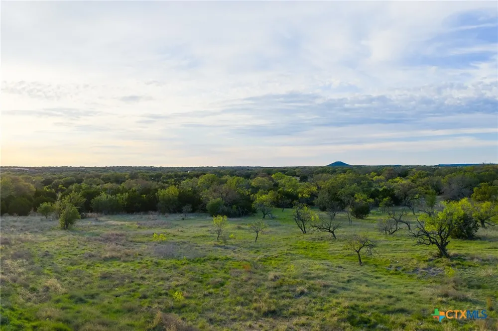 405 Blackjack Oak Drive Goldthwaite, TX 76844