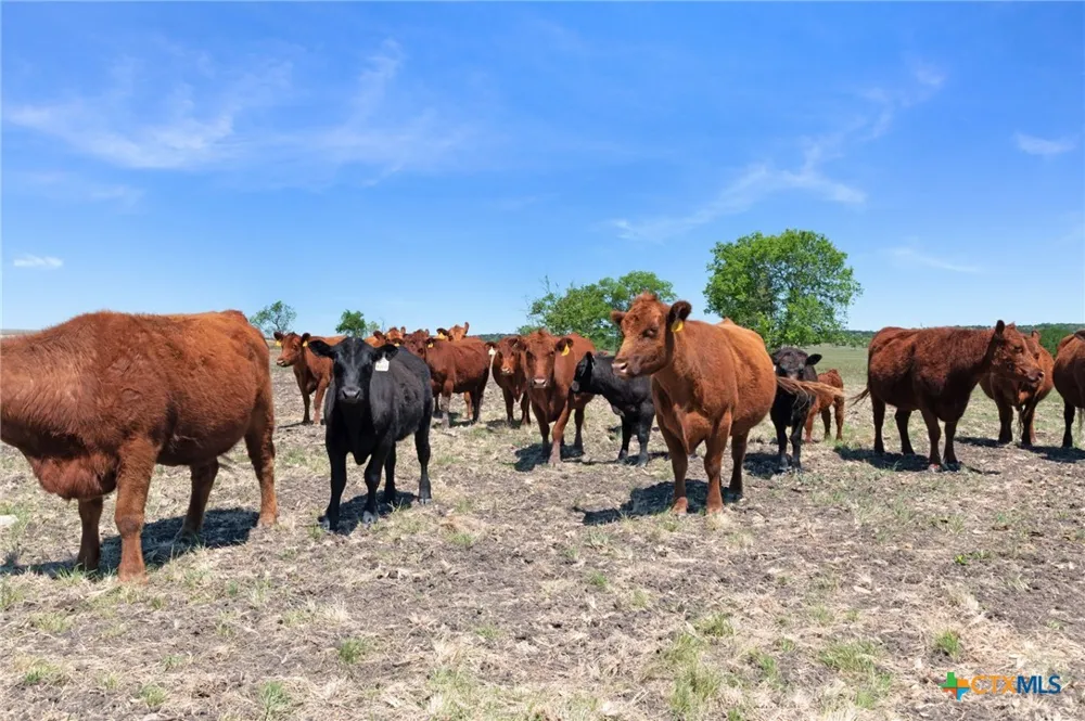 US Hwy 36 Jonesboro, TX 76538
