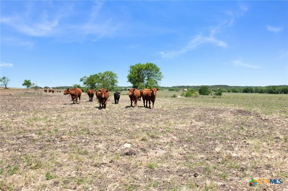 US Hwy 36 Jonesboro, TX 76538