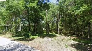 SW SW 97 PL, Dunnellon ocala, FL 34432