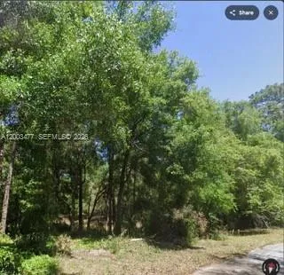 SW SW 97 PL, Dunnellon ocala, FL 34432