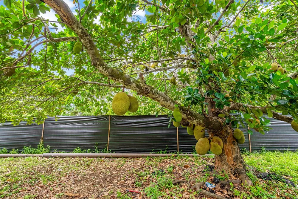 26105 SW 193rd Ave Homestead, FL 33031