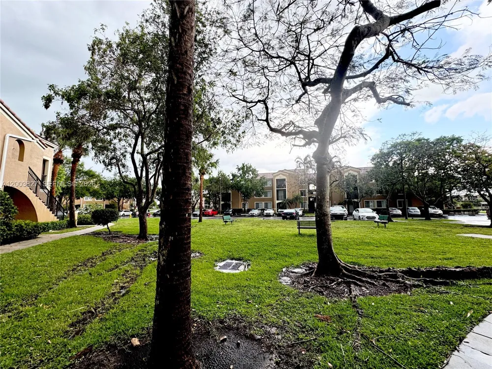 8060 Nob Hill Rd #203 Tamarac, FL 33321
