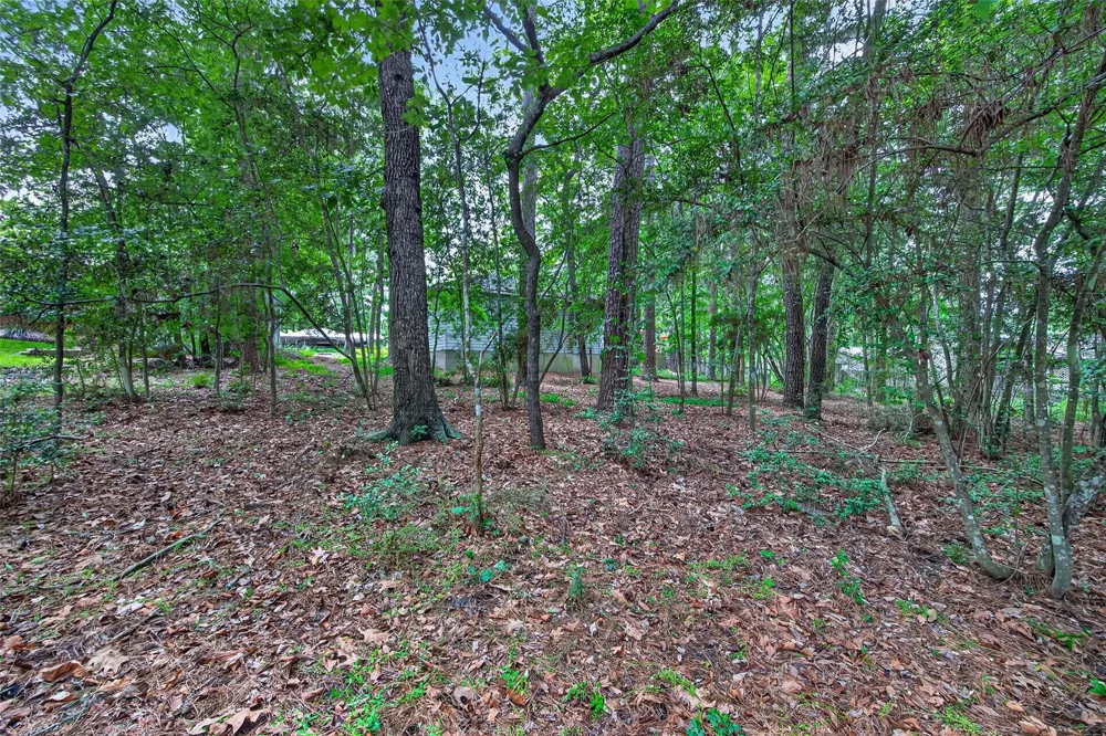 130 Fairway Loop Coldspring, TX 77331