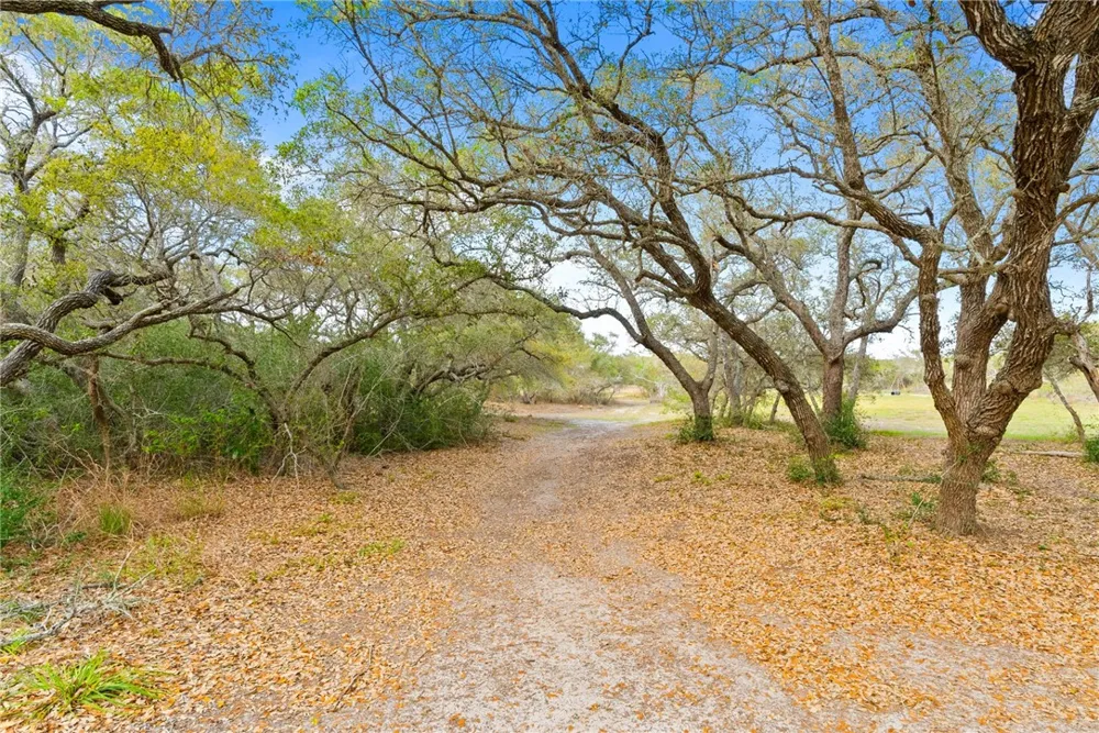 1402 W Johnson Avenue Aransas Pass, TX 78336