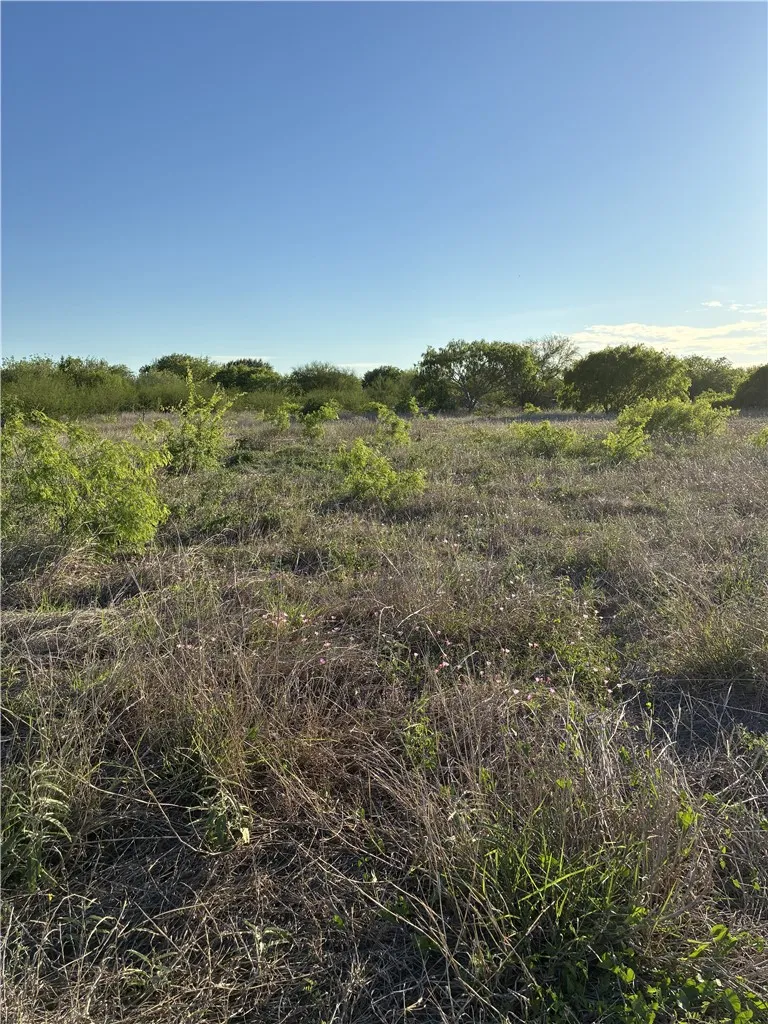 13029 County Road 1266 & 2567 Sinton, TX 78387