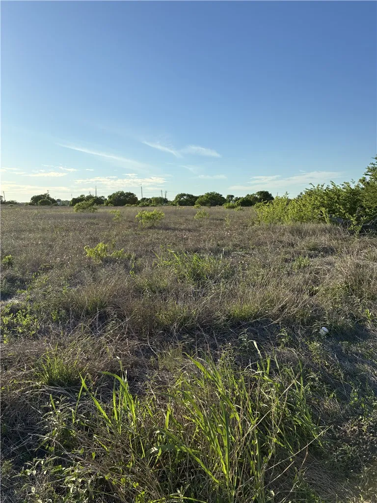 13029 County Road 1266 & 2567 Sinton, TX 78387