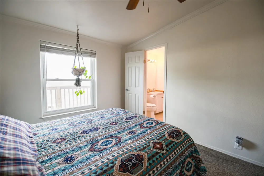 126 County Road 613 Skidmore, TX 78389