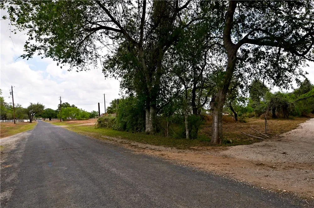 101 Alfredo Floresville, TX 78114
