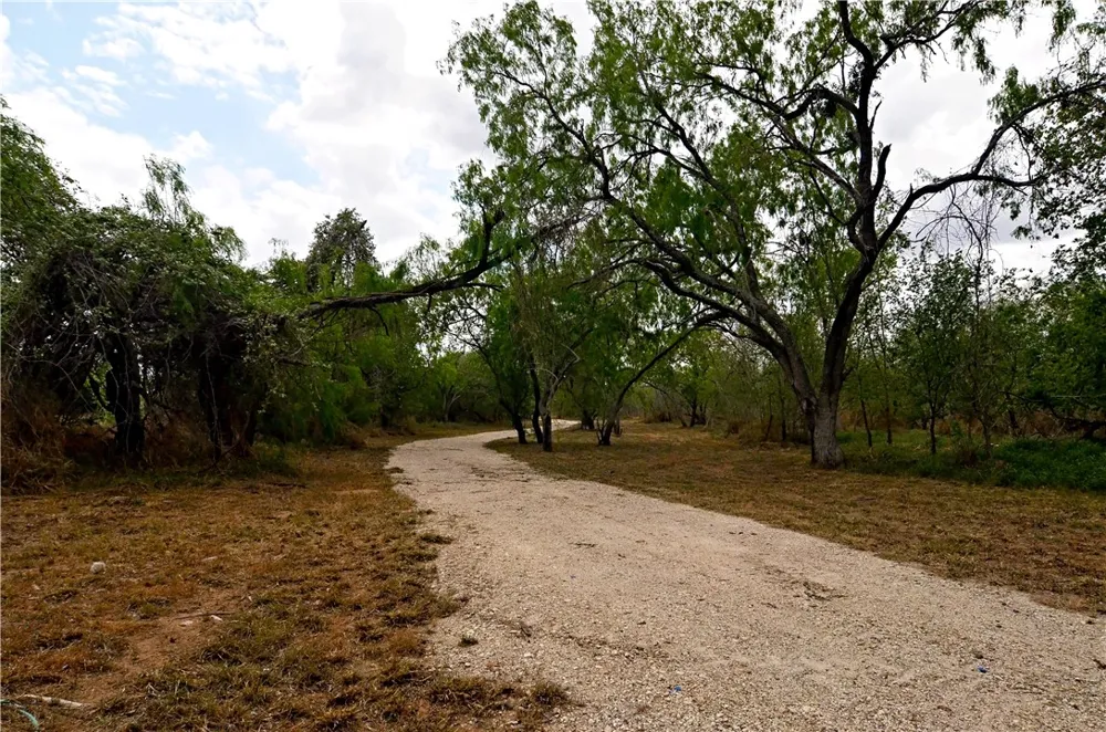 101 Alfredo Floresville, TX 78114